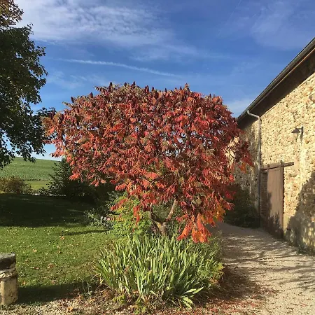 8 Entre Reims Et Epernay - La Cheneviere - Au Beau Sarrazin Σπίτι διακοπών Fontaine-sur-Ay